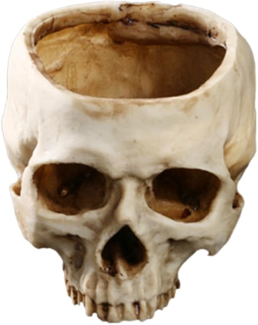 Generic Weiss Schadel Kopf Modell Deko Blumentopf Pflanztopf Topf Fur Haus Blumen Pflanzen Ornament Amazon De Kuche Haushalt