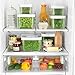 OXO GreenSaver Produce Keeper - Medium - Green
