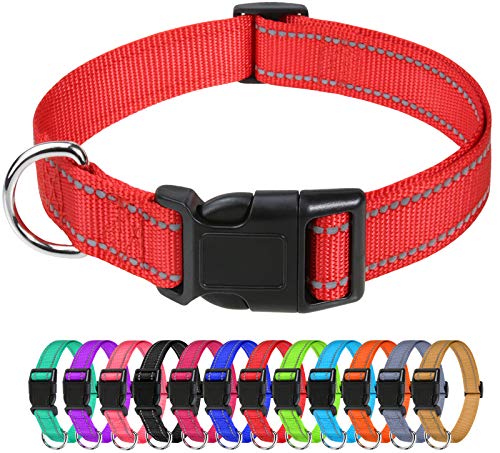 medium dog collar