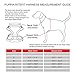 Authentic Puppia RiteFit Harness with Adjustable Neck, Sky Blue, Small