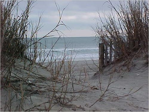 Plant Resources for Food, Fuel