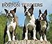 For the Love of Boston Terriers 2020 14 x 12 Inch Monthly Deluxe Wall Calendar with Foil Stamped Cov by 