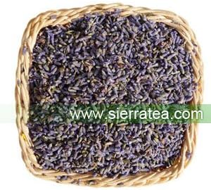Sierra Tea Dried Lavender Flower (Herbal Tea 100g),薰衣草