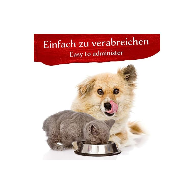 BELISY Angst & Stress Bachblüten Globuli für Hunde & Katzen