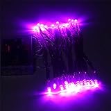 ER CHEN(TM) 3M 30 LED Battery Operated Christmas Wedding Fairy String Lights, Purple