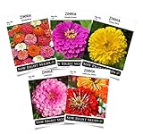 Sow Right Seeds - Zinnia Flower Seeds Collection - Five Packets - Luminosa, Canary Bird, Purple Prince, California Giants, and Thumbelina; Full Instructions for Planting, Wonderful Gardening Gifts