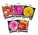 Sow Right Seeds - Zinnia Flower Seeds Collection - Five Packets - Luminosa, Canary Bird, Purple Prince, California Giants, and Thumbelina; Full Instructions for Planting, Wonderful Gardening Gifts