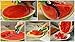 Watermelon Slicer Corer watermelon Cutter & Server cantaloupe cutter melon slicer High Quality Stainless Steel with FREE Melon Baller and Fruit Carving Knife