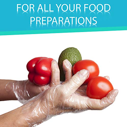 2000 Disposable Food Service Handling and Prep Poly Gloves for Cooking