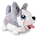 Chubby Puppies & Friends - Large Plush - Husky