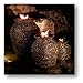Aquascape Fire Fountain Stacked Slate Urn and Sphere Add-On Kit | 78221