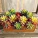Neomark Set of 3 Vinyl Artificial Succulent Cactus Plants for Office Home Decor Craft Making