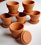 Pennington Mini Terra Cotta 2