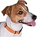 CollarDirect Reflective Dog Collar for a Small, Medium, Large Dog or Puppy with a Quick Release Buckle - Boy and Girl - Nylon Suitable for Swimming (18-26 Inch, Orange)