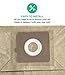 Think Crucial Replacement for Bissell Bags & Filters Fit Zing 22Q3 Vacuums, Compatible with Part # 77F8 (10 Pack)