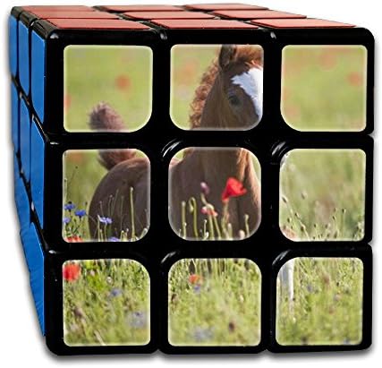 3x3x3 Cube Puzzle Toys Gaming The Runing Mane Horse For Children Intellectual Education