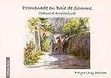 Image de Promenade en Baie de Somme
