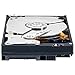 WD Caviar Black 1 TB SATA III 7200 RPM 64 MB Cache Internal Desktop 3.5