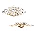 ELEGANTPARK BD 2 Pcs Shoe Clips Double Layers Rhinestones Wedding Party Decoration Gold