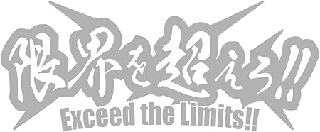 Amazon カッティングステッカー 限界を超えろ 2枚1セット 62mmx150mm シルバー 銀 ステッカー デカール 車 バイク