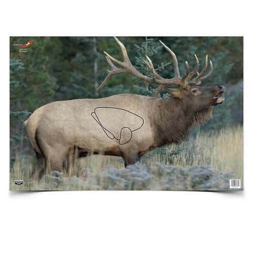 10 best elk targets for shooting