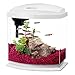 Aqueon LED MiniBow Aquarium Kit White 2.5 Gallons