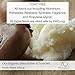 All Out Naturals Organic Deodorant, Best Natural Deodorant for Women and Men, For Sensitive Skin, Aluminum Free, Vegan, Non Toxic, 2.5 oz Stick (Unscented)