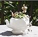 Youfui Cute Succulent Planter Animal Shaped Flower Pot Decor for Home Office Desk (Elephant L)