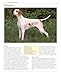 Encyclopedia Of Dog Breeds