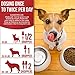 VetaHelp Labs Dewormer for Dogs & Cats (2 OZ) - Treat & Prevent - Broad Spectrum Whipworm, Roundworm & Tapeworm Dewormer - Made in USA - Natural Powerful Blend - Senior Pets, Kitten & Puppy Dewormer