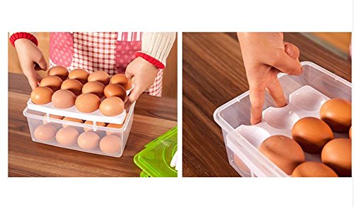 DUBENS Eierhalter Kühlschrank mit Tragegriff, Eierbehälter mit Deckel für 24 Eier Dose Box Eierbox, Eierdose Aufbewahrungsbox Transportbox Eieraufbewahrung für Outdoor Camping Picknick – Bild 5