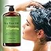 Majestic Pure Tea Tree Shampoo, Sulfate Free with 5% Tea Tree Essential Oil, Deep Cleansing for Dandruff, Dry Scalp and Itchy Hair, for Men & Women- 16 fl oz