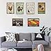 TISOSO Sweet Corn Retro Vintage Metal Tin Sign Home Bar Kitchen Farmhouse Home Decor Signs gifts size 8
