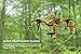 Tenergy TDR RC Drone, Spider Quadcopter Drone, One Key Auto Return, 3D 360° Roll Stunt, Headless Mode Drone, 2.4 GHz 6-Axis Flight Control, Beginner Drone