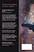 The Architect of Aeons: Book Four of the Eschaton Sequence (The Eschaton Sequence, 4)