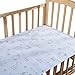 Baby Summer Sleeping Mat Breathable Safe Cool Bamboo Silk Flat Mattress Pads Toddler Infant Folding Bedding Cushion Crib Cot Cozy Nap Pads (Light Blue)