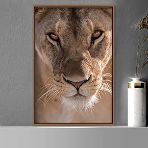 signwin Framed Canvas Wall Art Lions Animals Chic...