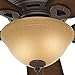 Hunter Fan Company, 51023, 42 inch Conroy Onyx Bengal Low Profile Ceiling Fan with LED Light Kit and Pull Chain