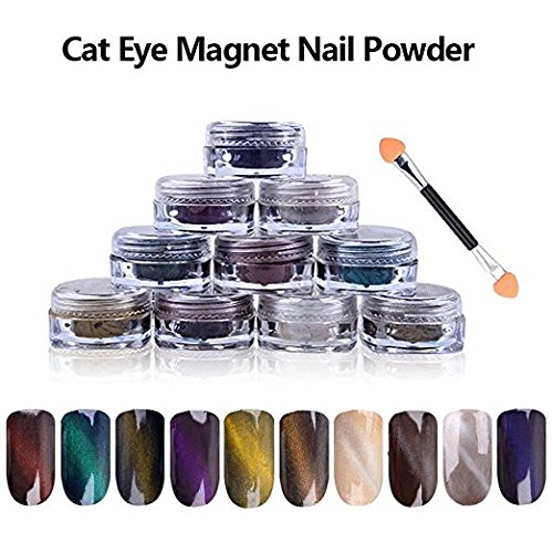 10 COLORS 1g/Box 3D Effect DIY UV Gel Poland Magic Mirror Cat Eye Magnet Dust Twinkle Nail Art Powder + Magnet Pen