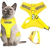 Dexil Color Coded Cat Harness Warning Alert Vest