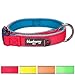 Blueberry Pet 4 Colors Soft & Comfy Summer Hope 3M Reflective Padded Dog Collar with O-Ring, Fluorescent Pink, Medium, Neck 14.5