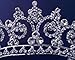 Rhinestones Crystal Wedding Bridal Pageant Princess Tiara Crown 3150