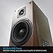 Arion Legacy Studio Quality 2.0 Speakers with 5 Inch Subwoofer, 1 Inch Tweeter, and Trapezoid Wooden Cabinets - AC Powered 80W RMS (AR604)