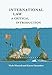 International Law: A Critical Introduction