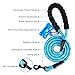 Toozey 5 FT Dog Leash, Rope Leash with Comfortable Padded Handle and Reflective Threads, Heavy Duty Braided Leash for Medium Large Dogs, Blue