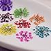 3X (72pieces) Lace Flower 2-2.5cm Natural Dried Flowers Pressed Herbarium Flower Nail Sticker Resin Filler (Mixed Color)