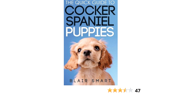 spaniel bowls amazon