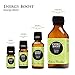 Edens Garden Energy Boost Essential Oil Blend- 100% Pure Premium Grade, Undiluted, Natural, Therapeutic, Aromatherapy, The Best for Diffusing, Kid Safe, Humidifiers, Skin 10 ml (.33 fl oz)