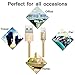 Miger Fast Charge Cable 4Pack 1Ft/3Ft/6Ft/10Ft Nylon Braided MFi Certified - 8 pins Connector Cables Compatible with iPhone X / 8/8 Plus / 7/7 Plus / 6 / 6s Plus / 5s / 5, iPad Mini / 4/3 (Gold)