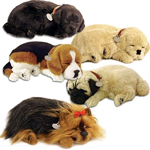 (Set) 5 Lifelike Breathing Dog Pets - Pug Beagle Lab Golden Retriever Yorkie
